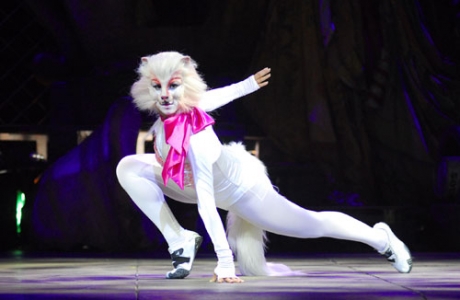 Compagnia della Rancia - “Cats”