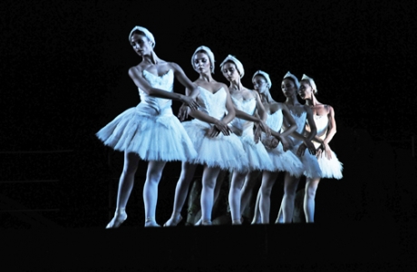 Teatro dell’Opera di Roma - ‘’Swan lake’